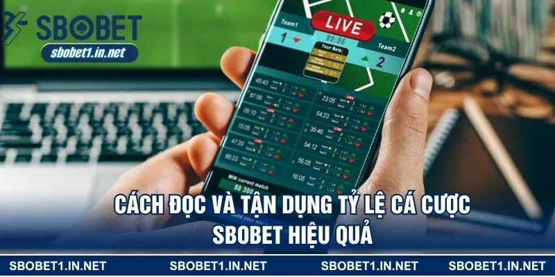 Cách đọc và tận dụng tỷ lệ cá cược SBOBET hiệu quả