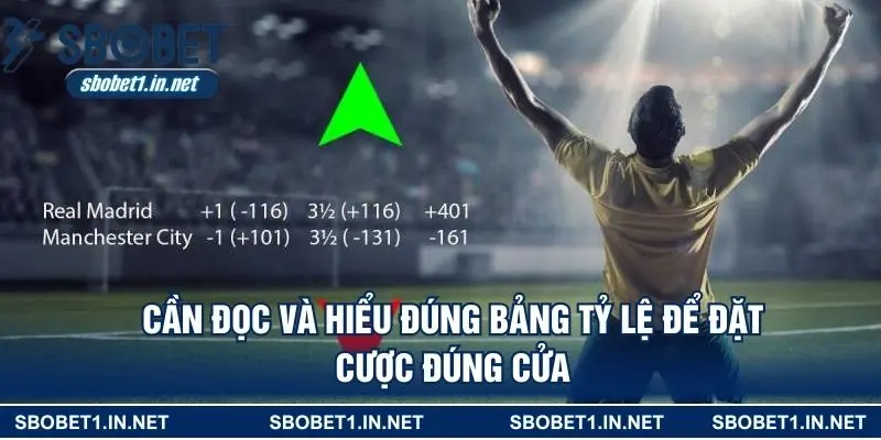 Cần đọc và hiểu đúng bảng tỷ lệ để đặt cược đúng cửa