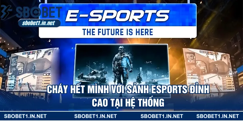 Cháy hết mình với sảnh Esports đỉnh cao tại hệ thống