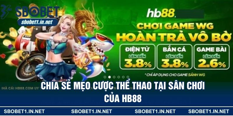 Thế mạnh mà nhà cái này đang sở hữu để thu hút người chơi