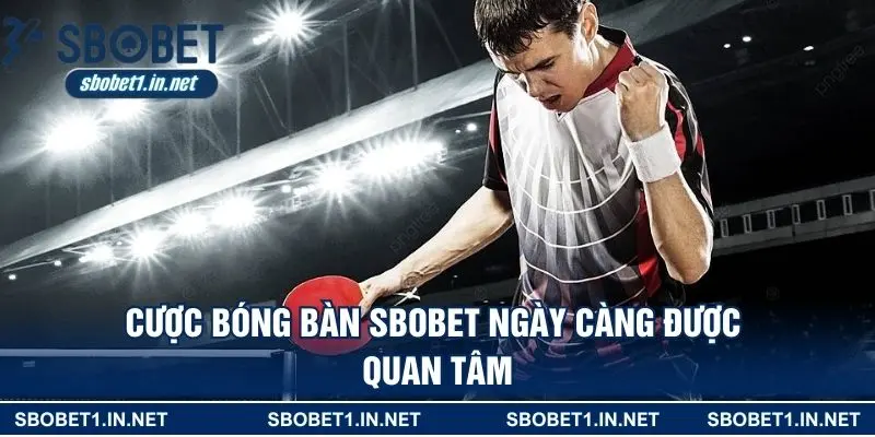 Cược bóng bàn SBOBET ngày càng được quan tâm