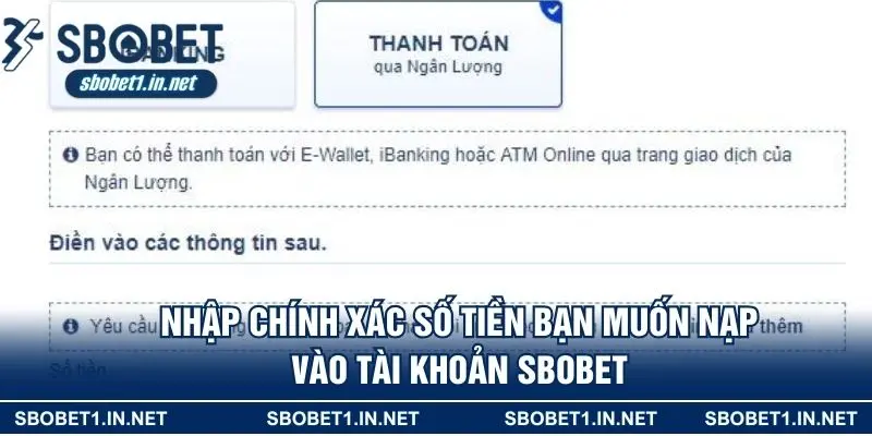 Nhập chính xác số tiền bạn muốn nạp vào tài khoản Sbobet