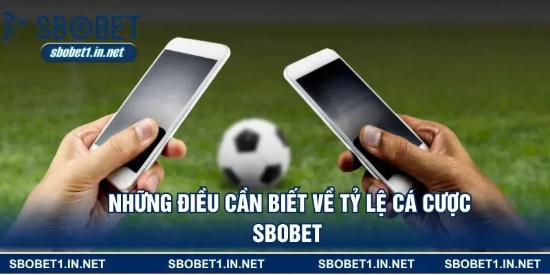 Những điều cần biết về tỷ lệ cá cược SBOBET