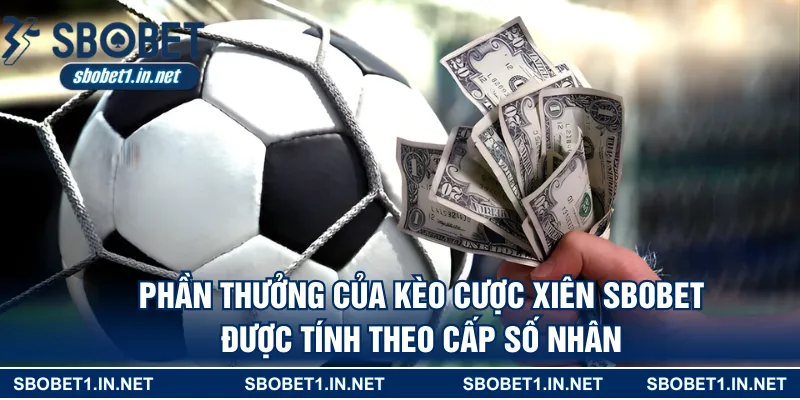 Phần thưởng của kèo cược xiên SBOBET được tính theo cấp số nhân