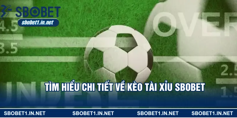 Tìm hiểu chi tiết về kèo tài xỉu SBOBET