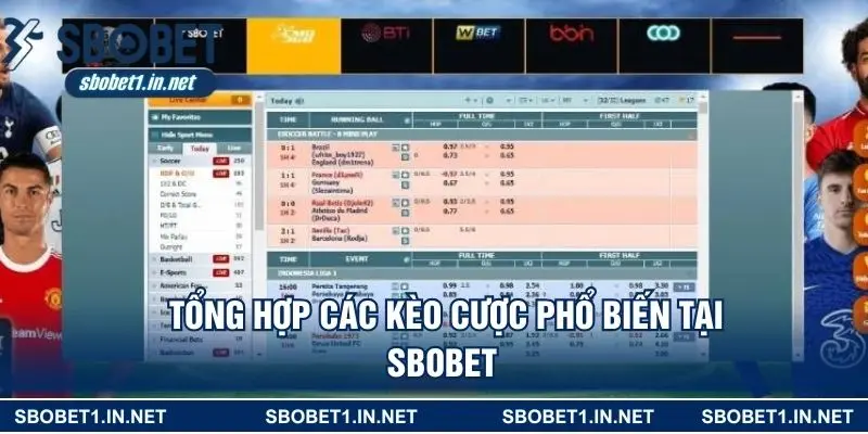 Tổng hợp các kèo cược phổ biến tại SBOBET