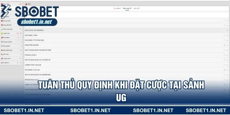 Tuân thủ quy định khi đặt cược tại sảnh UG