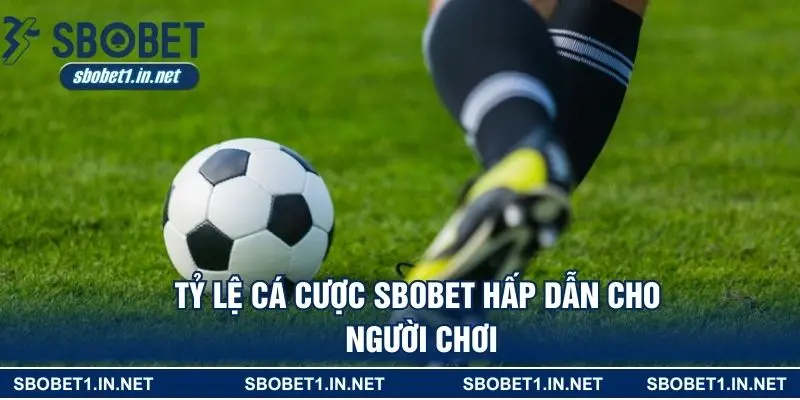 Tỷ lệ cá cược SBOBET hấp dẫn cho người chơi
