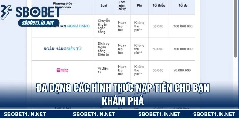 Đa dạng các hình thức nạp tiền cho bạn khám phá