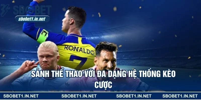 Sảnh thể thao với đa dạng hệ thống kèo cược